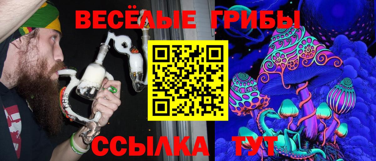 Новороссийск  даркнет сайт  Вход с VPN  Галлюциногенные грибы Psilocybe 