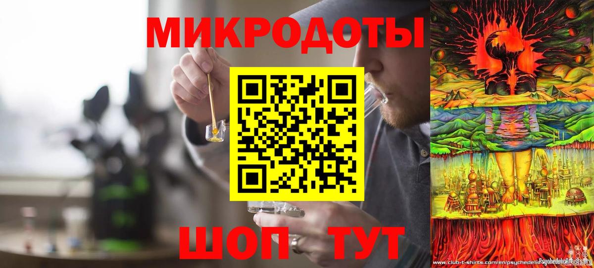 Псилоцибиновые грибы мицелий Новороссийск
